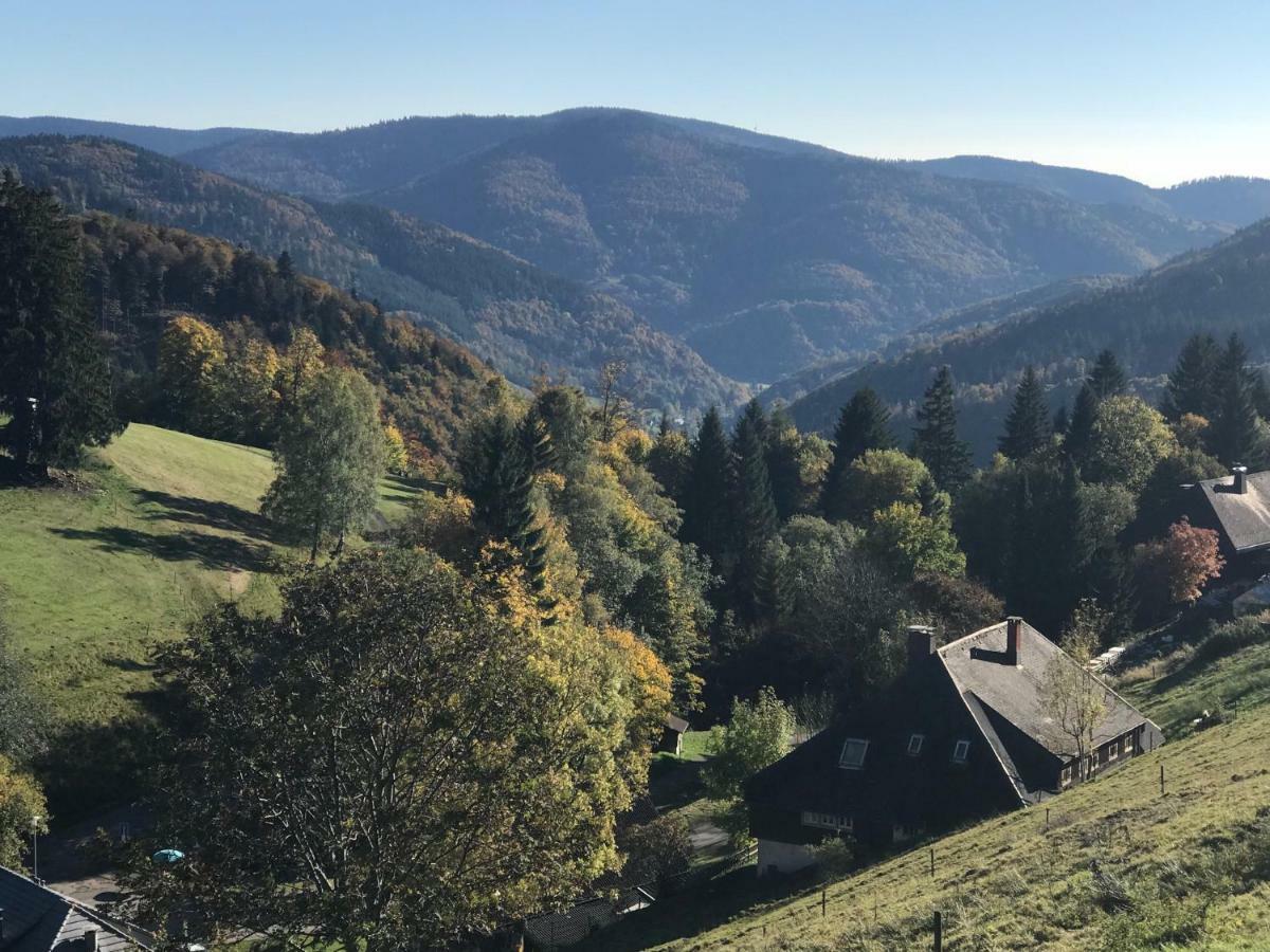 Residenz Schauinsland, Ganzes Appartement, Sauna ทอดท์เนา ภายนอก รูปภาพ