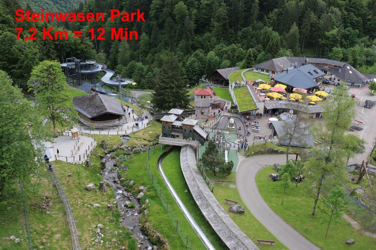 Residenz Schauinsland, Ganzes Appartement, Sauna ทอดท์เนา ภายนอก รูปภาพ