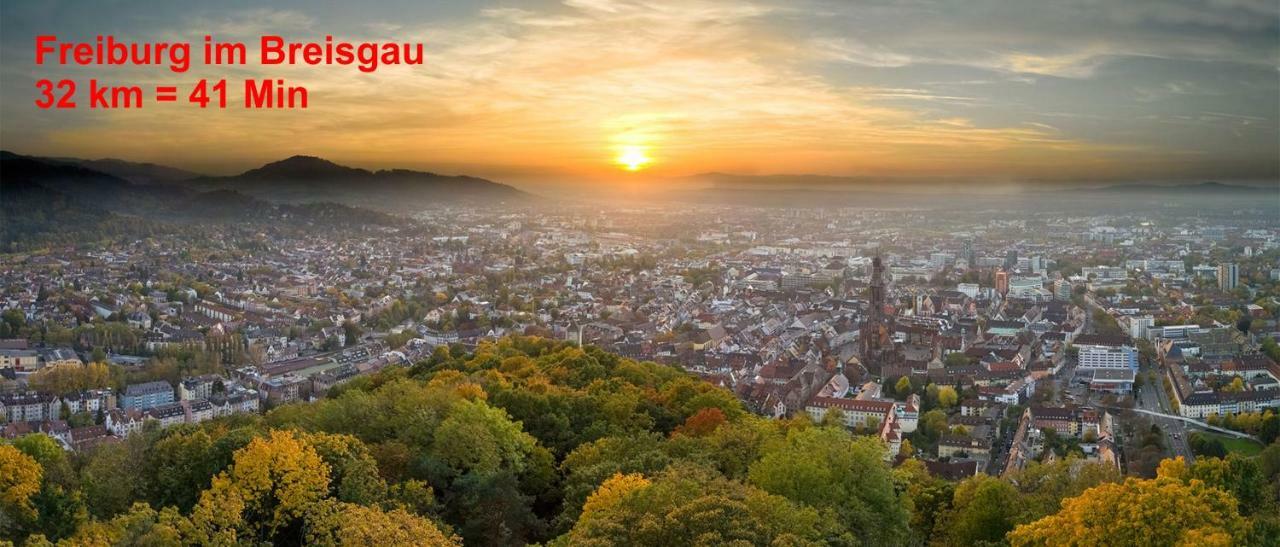 Residenz Schauinsland, Ganzes Appartement, Sauna ทอดท์เนา ภายนอก รูปภาพ