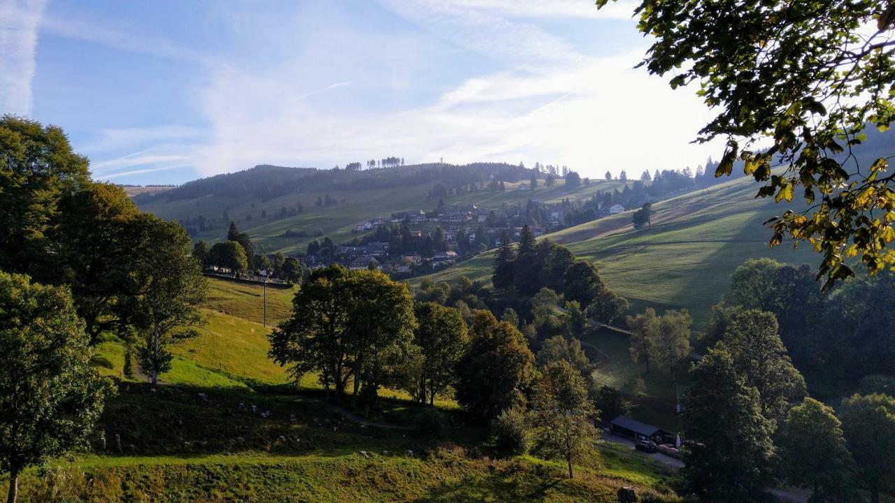 Residenz Schauinsland, Ganzes Appartement, Sauna ทอดท์เนา ภายนอก รูปภาพ